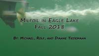 Milfoil in Eagle Lake Summer 2018 Video
